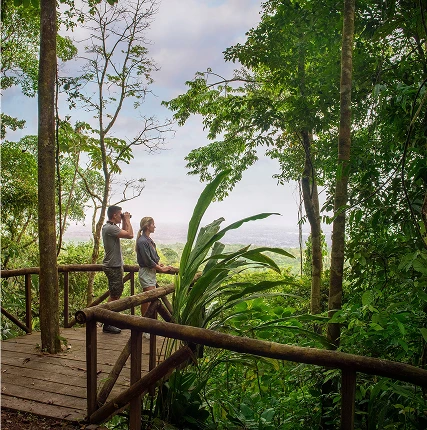 Wildlife Tours