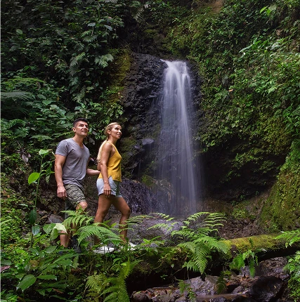 Waterfall Hikes