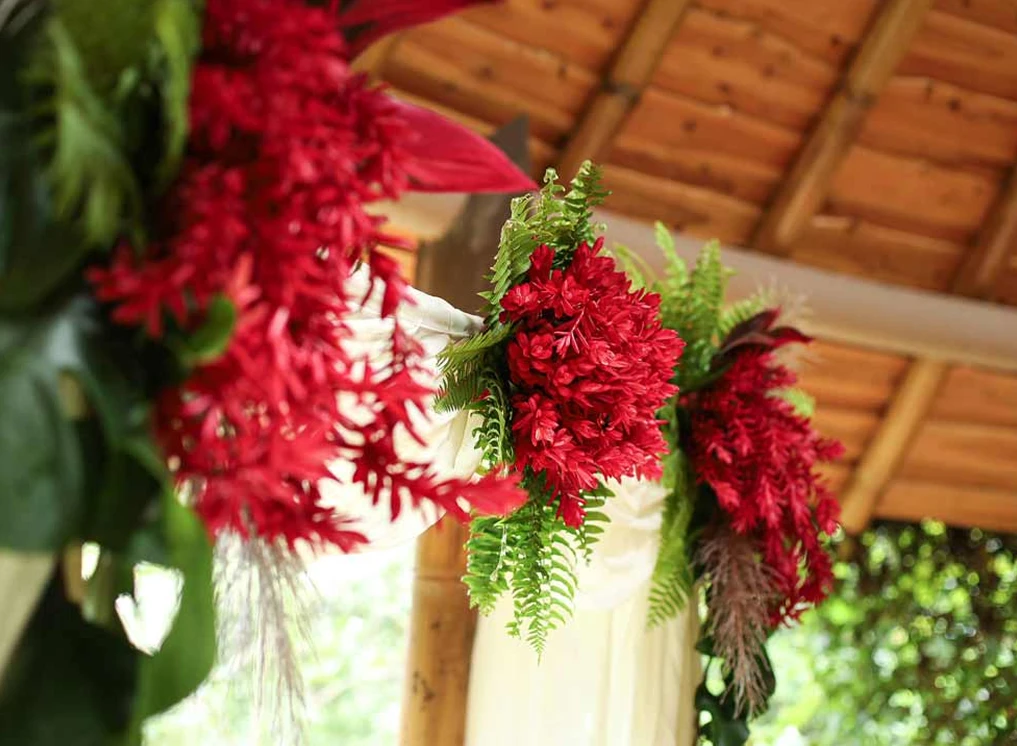Elopement Weddings in Costa Rica at Origins Lodge: The Ultimate Guide