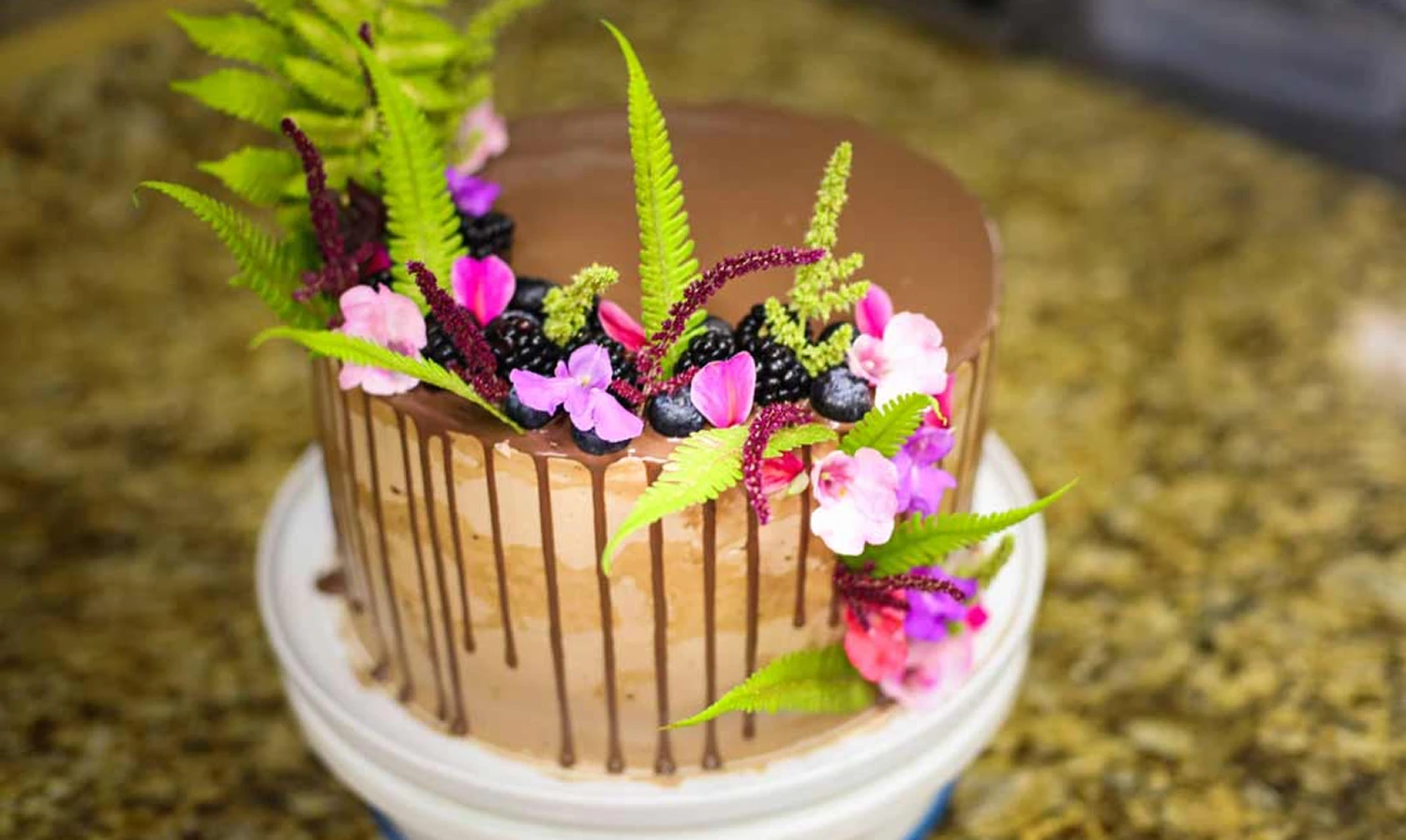 Elopement Weddings in Costa Rica at Origins Lodge: The Ultimate Guide