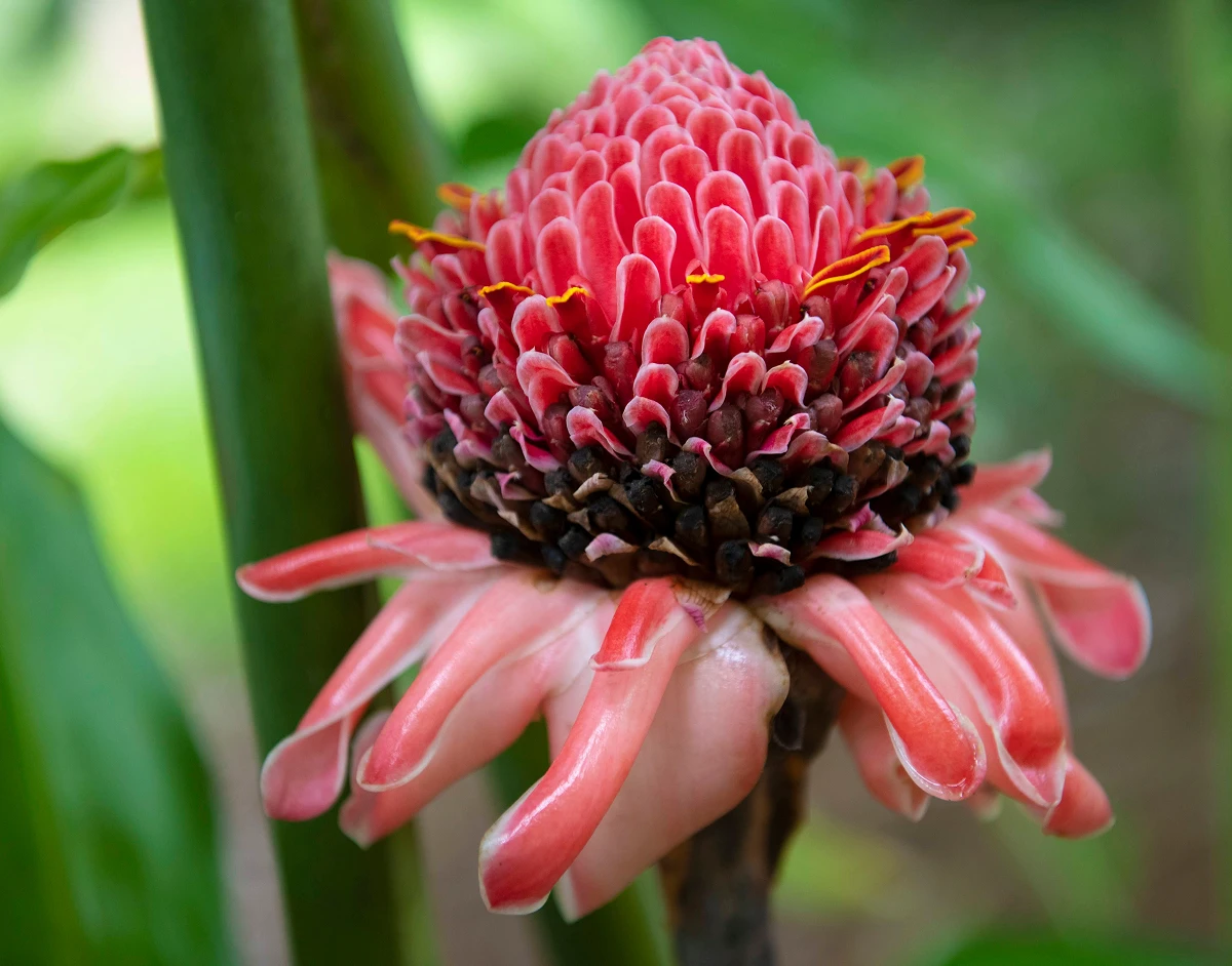 visit costa-rica