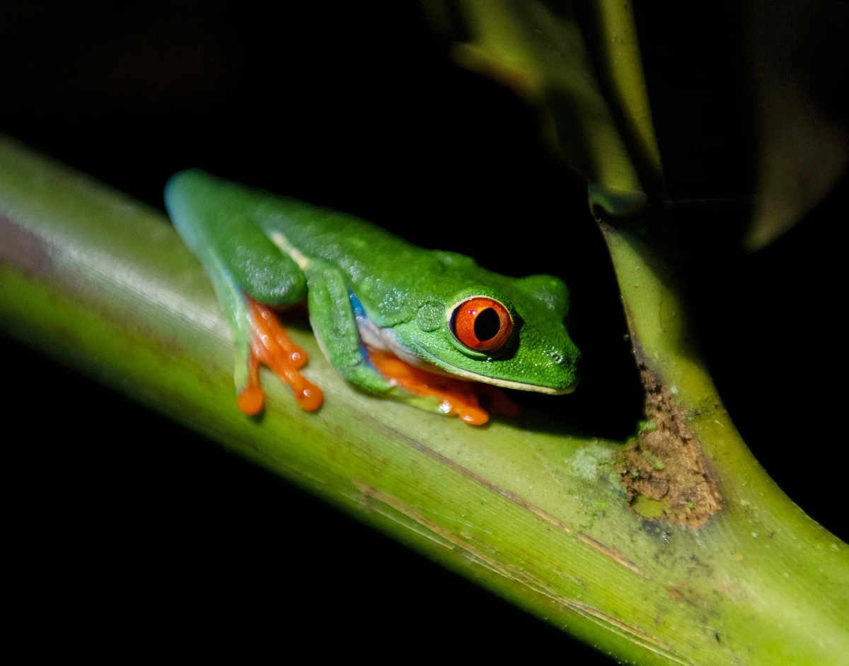 visit costa-rica