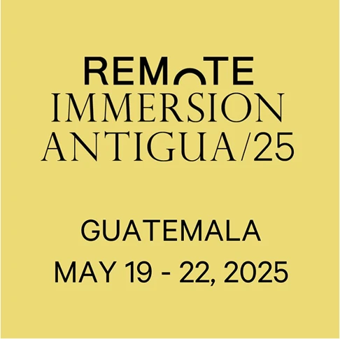 Remote immersion