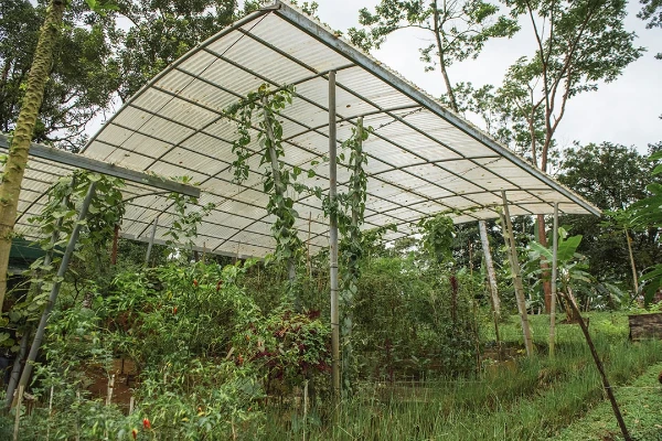 EL VIVERO