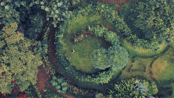 FLORAL SPIRAL