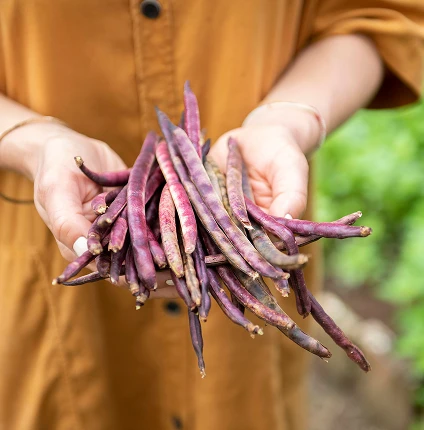 Organic Superfood
