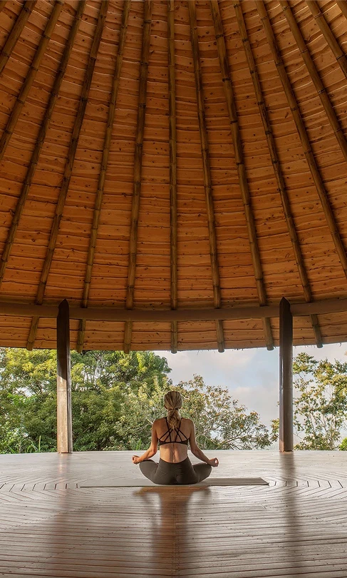 Wellness