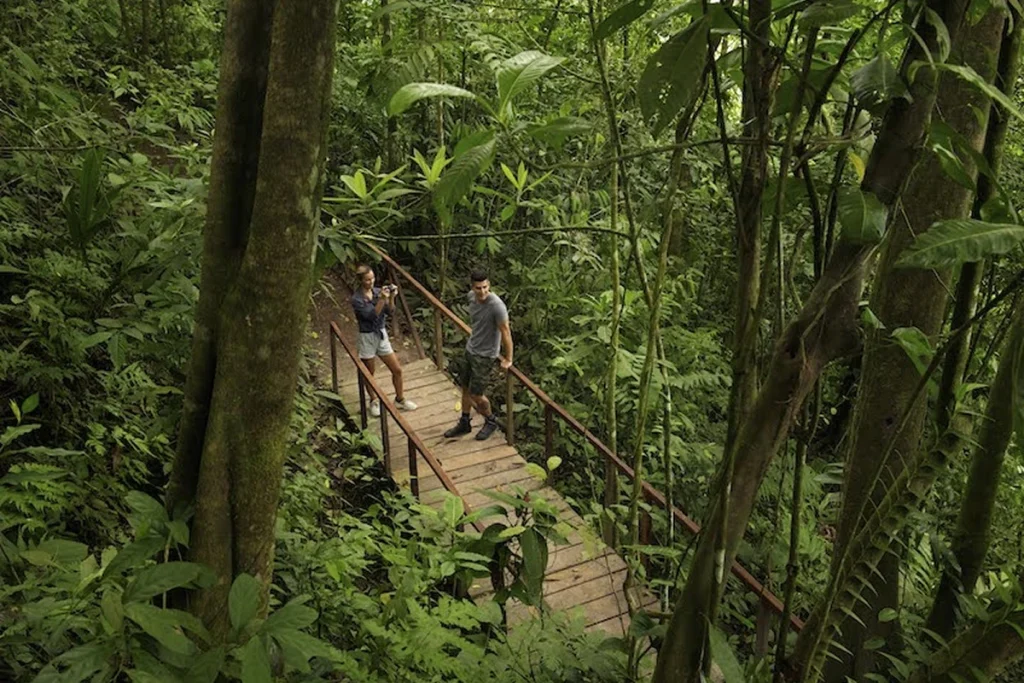 Nurturing Spiritual Well-Being in the Enchanting Costa Rica Rainforest