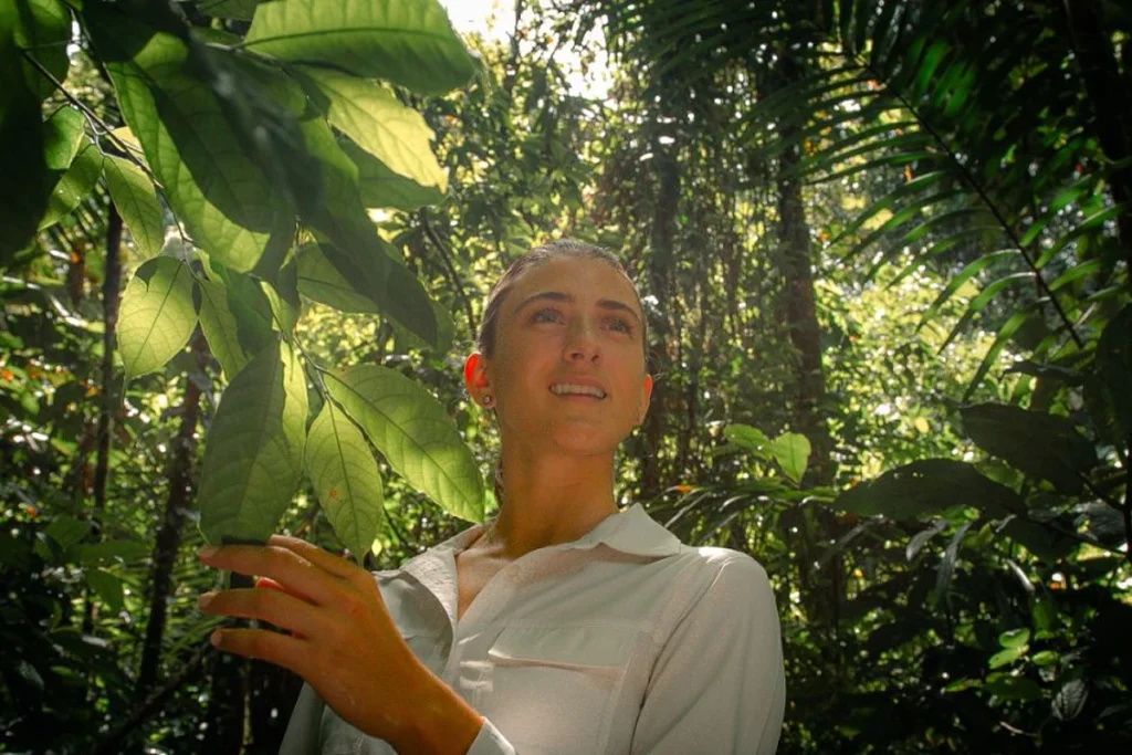 Nature’s Healing Power: Harnessing the Forest for Mood and Stress Regulation