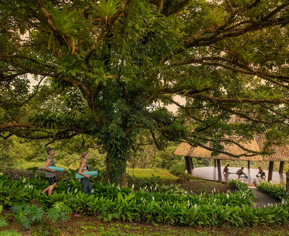 Our Secluded Sanctuaries