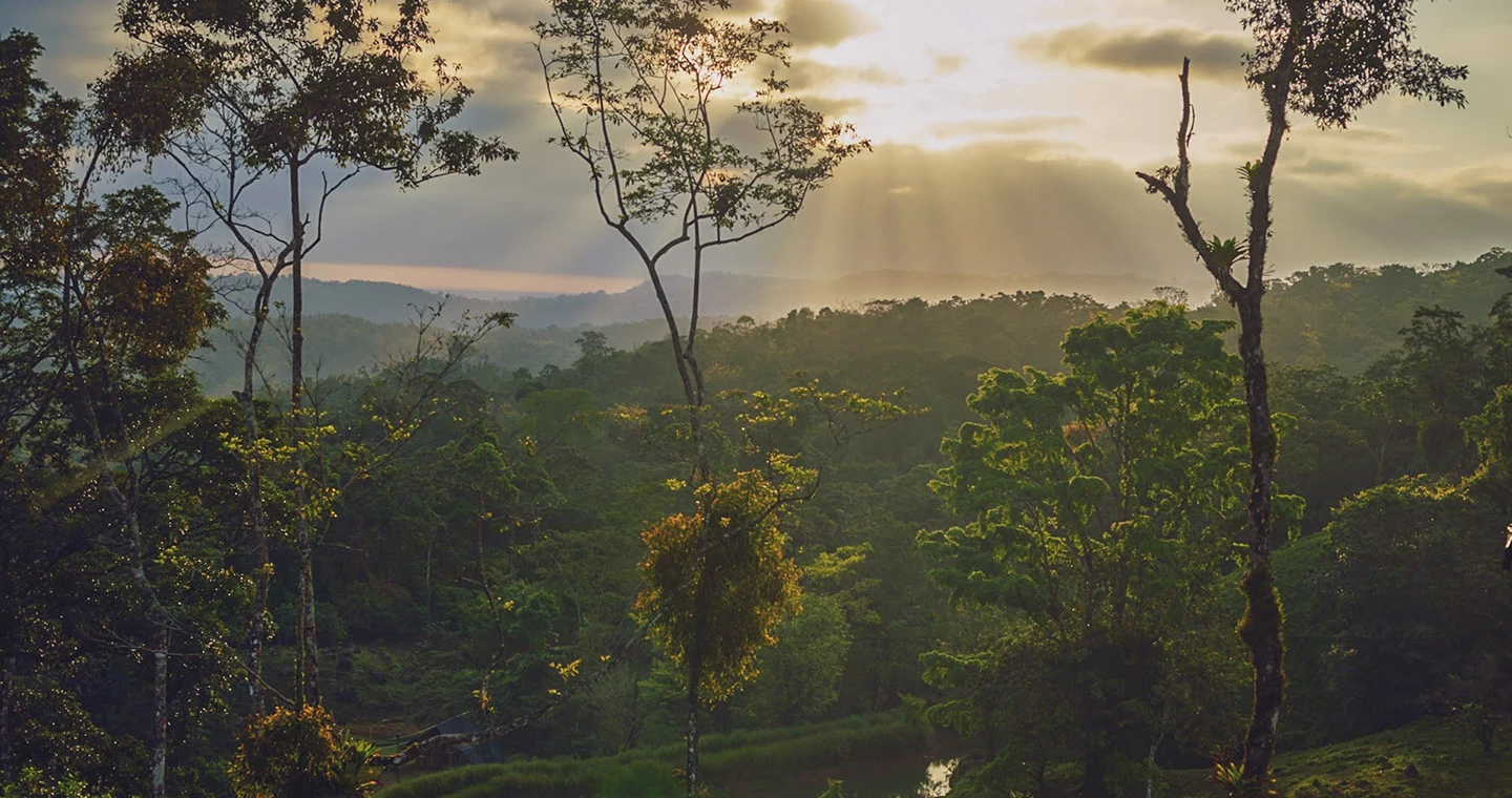 Living in Harmony with Nature