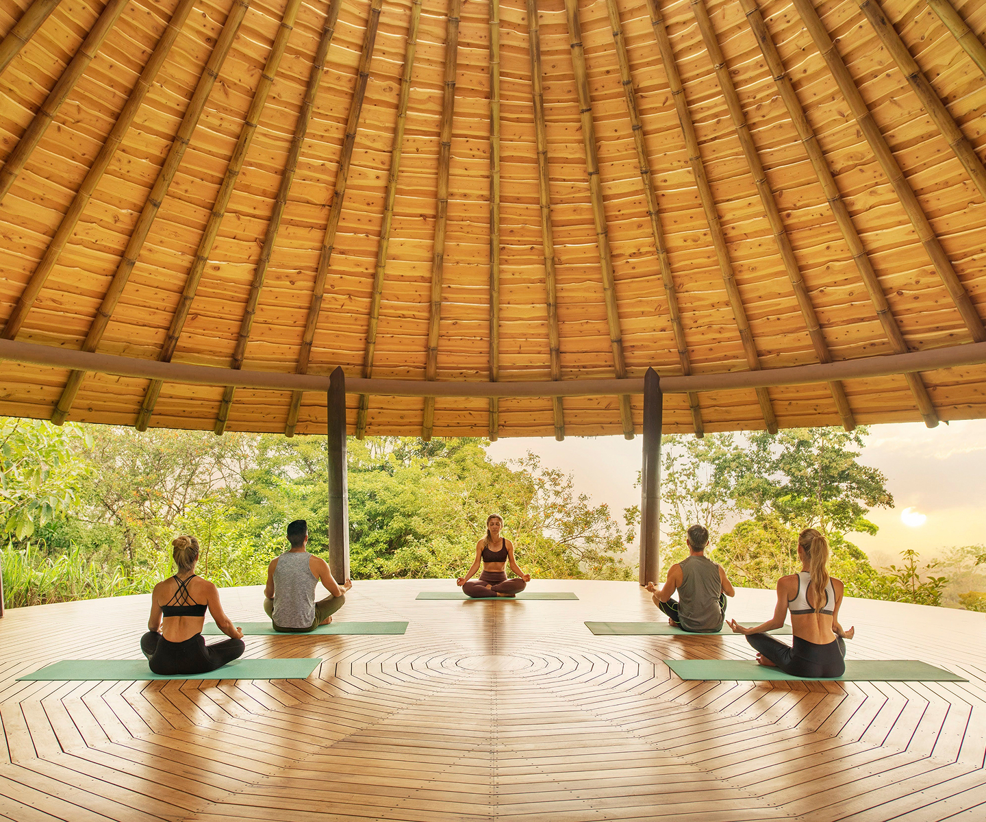 Wellness